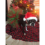 Red/Green - Red and Green Christmas Dog Tutu Skirt (XXXL) - XXXL