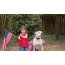 Red/White/Blue - Red/White/Blue 4th Of July Dog Tutu Skirt (Small) - Small