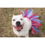 Red/White/Blue - Red/White/Blue 4th Of July Dog Tutu Skirt (Small) - Small