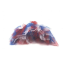 Red/White/Blue - Red/White/Blue 4th Of July Dog Tutu Skirt (Large) - Large