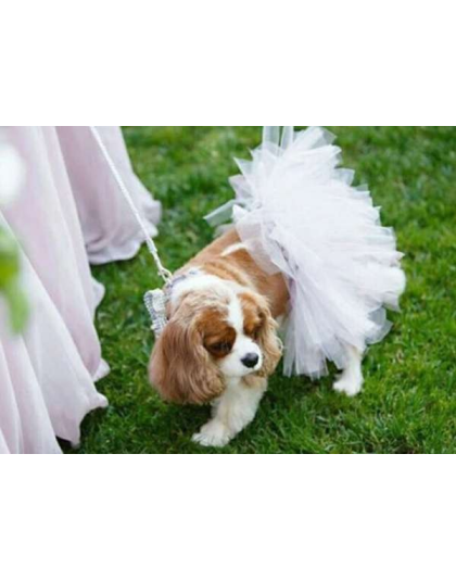 White - White Bridal Dog Tutu Skirt (Large) - Large