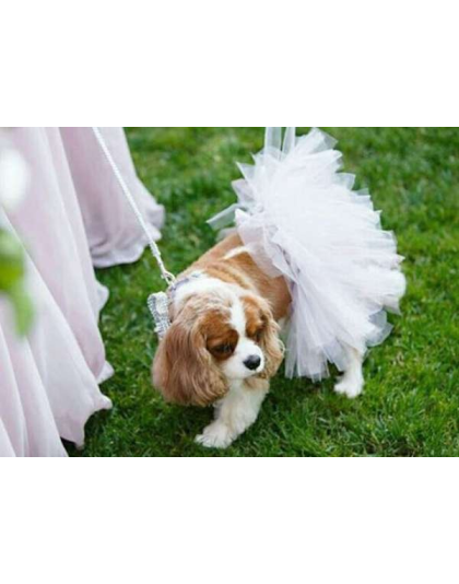 White - White Bridal Dog Tutu Skirt (Large) - Large