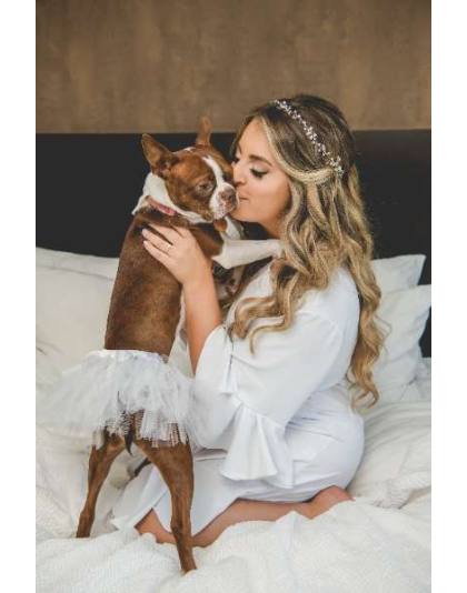 White - White Bridal Dog Tutu Skirt (Large) - Large