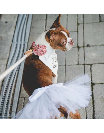 White - White Bridal Dog Tutu Skirt (Large) - Large