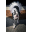 White - White Bridal Dog Tutu Skirt (Large) - Large