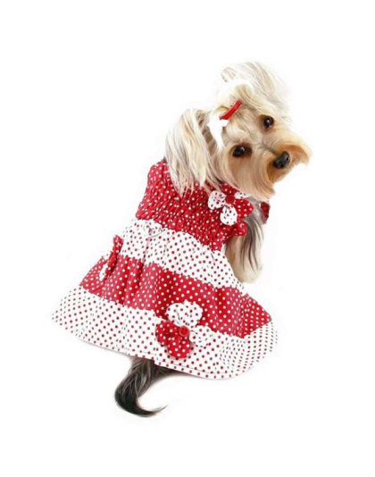 Red/White - Red & White Polka Dots Sundress with Contrasting Flowers - L