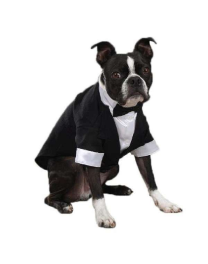 White - East Side Coll Yappily Ever After Groom Tux  - XXsmall
