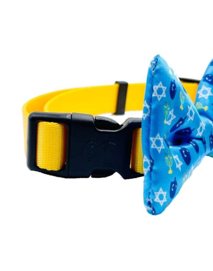 Blue Dreidel - Cutie Ties Dog Bow Tie - One Size