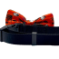 Halloween Orange - Cutie Ties Dog Bow Tie - One Size