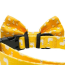 Llama Yellow - Cutie Ties Dog Bow Tie - One Size