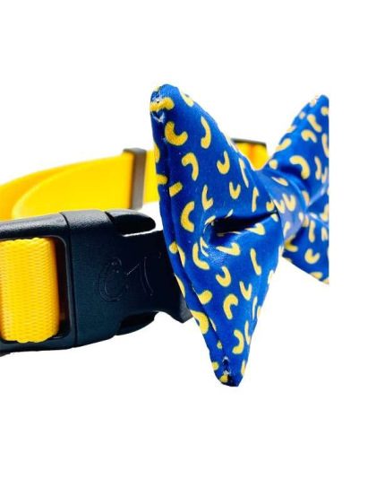 Mac and Cheese Blue - Cutie Ties Dog Bow Tie - One Size