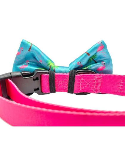 Miami Vice - Cutie Ties Dog Bow Tie - One Size