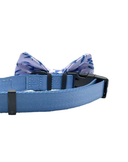 Swallow & Feather - Cutie Ties Dog Bow Tie - One Size