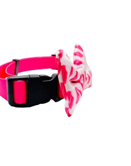 Ice Pops - Cutie Ties Dog Bow Tie - One Size