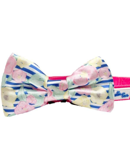 Preppy Pet - Cutie Ties Dog Bow Tie - One Size