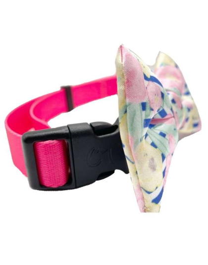 Preppy Pet - Cutie Ties Dog Bow Tie - One Size