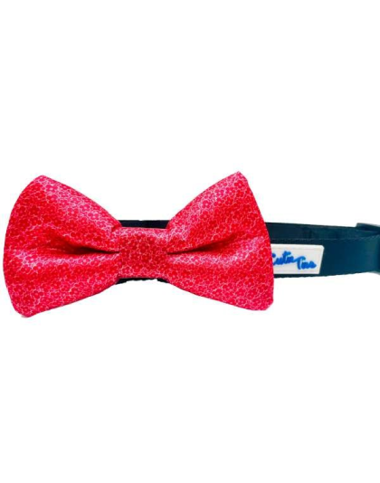 Tiny Flowers - Cutie Ties Dog Bow Tie - One Size