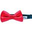 Tiny Flowers - Cutie Ties Dog Bow Tie - One Size