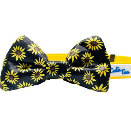 Black Sunflower - Cutie Ties Dog Bow Tie - One Size
