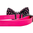 Polka-Dot - Cutie Ties Dog Bow Tie - One Size
