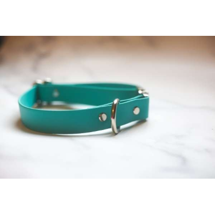 Teal - Biothane Quick Release Collar - Large 16-21 inches