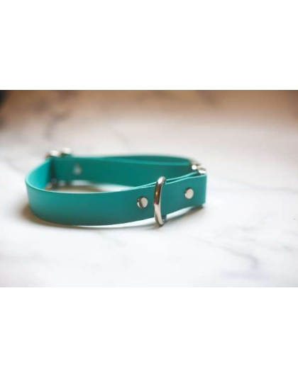 Teal - Biothane Quick Release Collar - Medium 12-17 inches