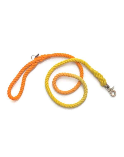 Orange and Yellow  - Rope Dog Leash - Traffic Lead (2 ft)