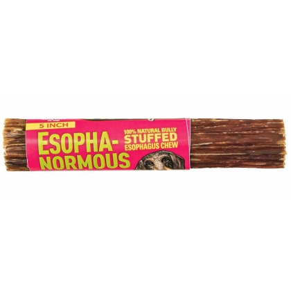 Etta Says! Esopha-normous Bully Stuffed Esophagus Chew Indiv. - 5"
