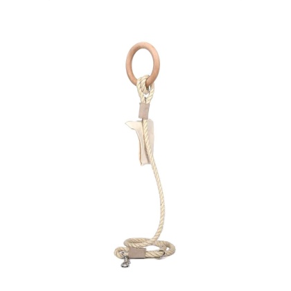 Carbon Neutral Eco Friendly Dog Leash with Small Storage Bag