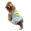 White - Ultra Plush Colorful Dinosaurs Front Sleeveless Pajamas - M