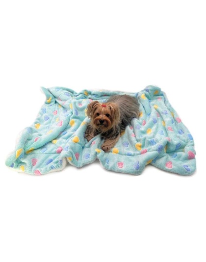 Blue - Ultra Plush Colorful Hearts Blanket - 30" x 20"