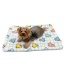 White - Ultra Plush Colorful Dinosaurs Blanket - 30" x 20"