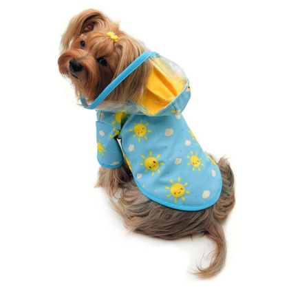 Blue - Clear View Happy Sunshine Raincoat with Fleece Lining and Detachable Hood - S