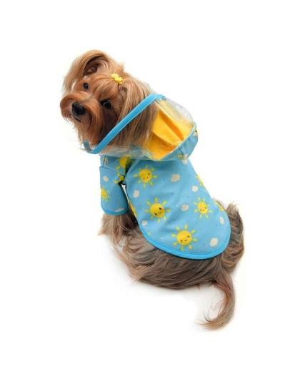 Blue - Clear View Happy Sunshine Raincoat with Fleece Lining and Detachable Hood - S