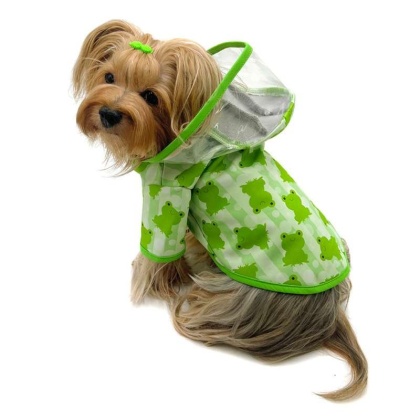 Blue - Clear View Froggy Raincoat with Fleece Lining and Detachable Hood - L