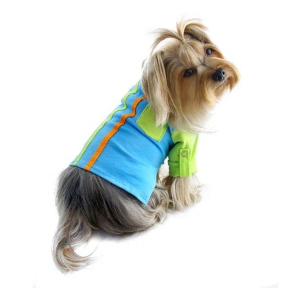 Green/Blue - Knit Cotton Contrast Shirt with Roll-Up Sleeves - M