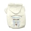 CREAM - Return to Sniffany Hoodie - X Small