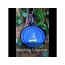 Collapsible Silicone Travel Bowls - XL 34oz (for Larger Pets)