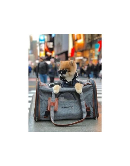 Charcoal Ash - Mr. Peanut's Gold Series Big Apple Size Expandable Pet Carrier -