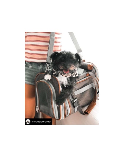 Platinum Gray - Mr. Peanut's Gold Series Big Apple Size Expandable Pet Carrier -