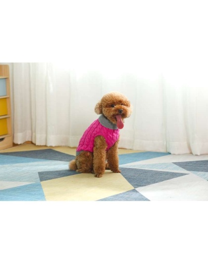 Royal Rosa With Gray Fringe - Mr. Peanut's Knitted Acrylic Dog Sweaters - Large