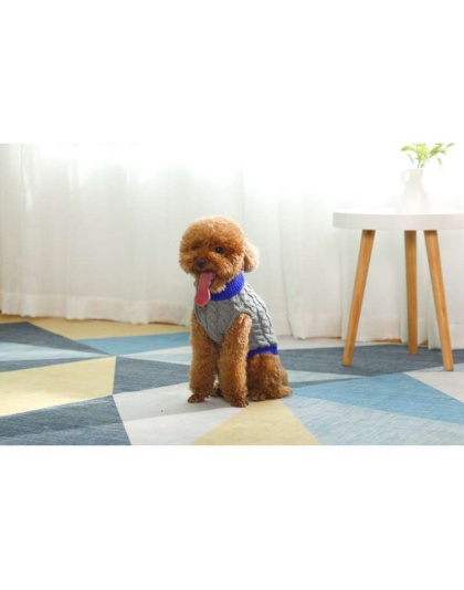 Gray With Regal Blue Fringe - Mr. Peanut's Knitted Acrylic Dog Sweaters - XX Large