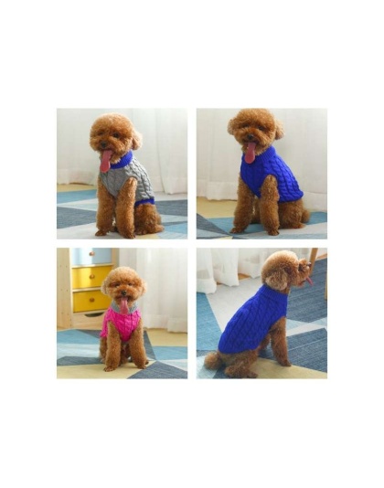 Gray With Regal Blue Fringe - Mr. Peanut's Knitted Acrylic Dog Sweaters - XX Large