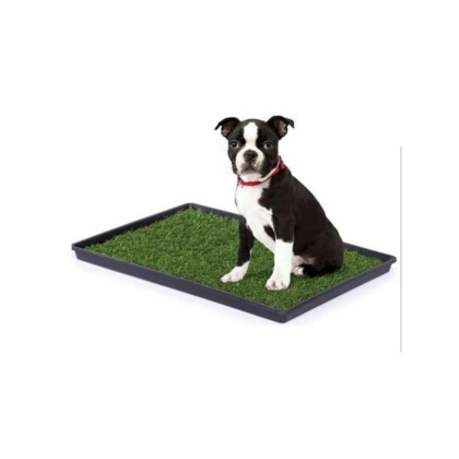 Mr. Peanut's Potty Place - Artificial Grass Puppy Pad for Dogs and Small Pets - Medium: 30 in L x 20 in W x 1 1/4 in H