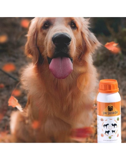 Lime Sulfur Dip - Pet and Veterinary Solution for Dermatitis, Mange, Ringworm and other Parasites - 16 fl oz