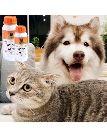 Lime Sulfur Dip - Pet and Veterinary Solution for Dermatitis, Mange, Ringworm and other Parasites - 8 fl oz