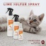 Classic's Lime Sulfur Spray Pet Care for Dry and Itchy Skin - 8 fl oz