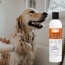 Classic's Medicated Pet Shampoo - Veterinary Treatment Against Ringworm, Mange, Lice, and Dry Skin - 8 fl oz