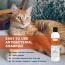 Classic's Medicated Pet Shampoo - Veterinary Treatment Against Ringworm, Mange, Lice, and Dry Skin - 8 fl oz