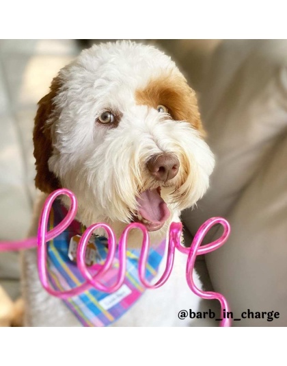 Colorful Plaid - Colorful Plaid Bandana - Large